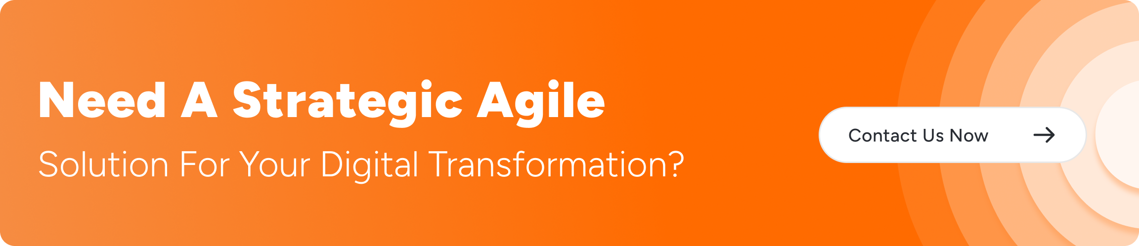 Need a strategic agile solution for your digital transformation?